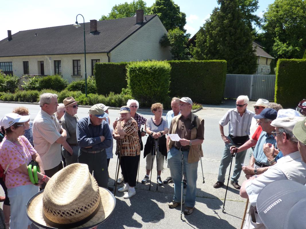 Wanderung Kleinebersdorf 20110519 019.JPG