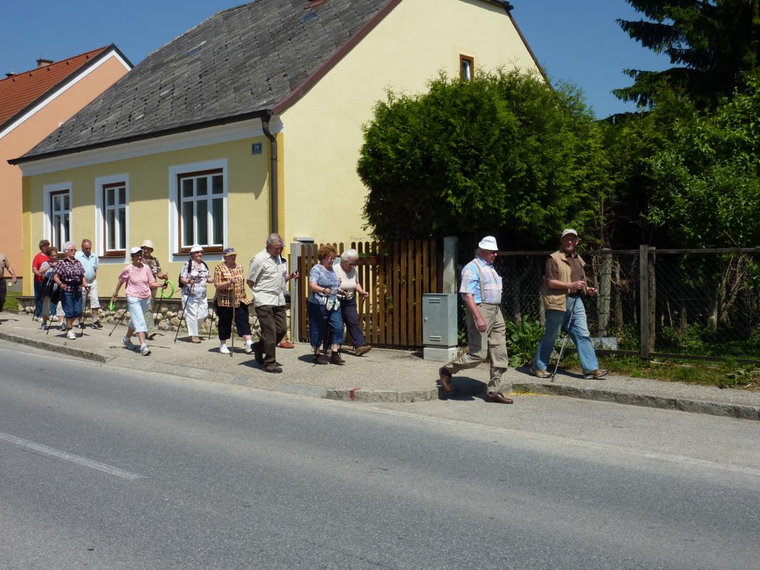 Wanderung Kleinebersdorf 20110519 022.JPG