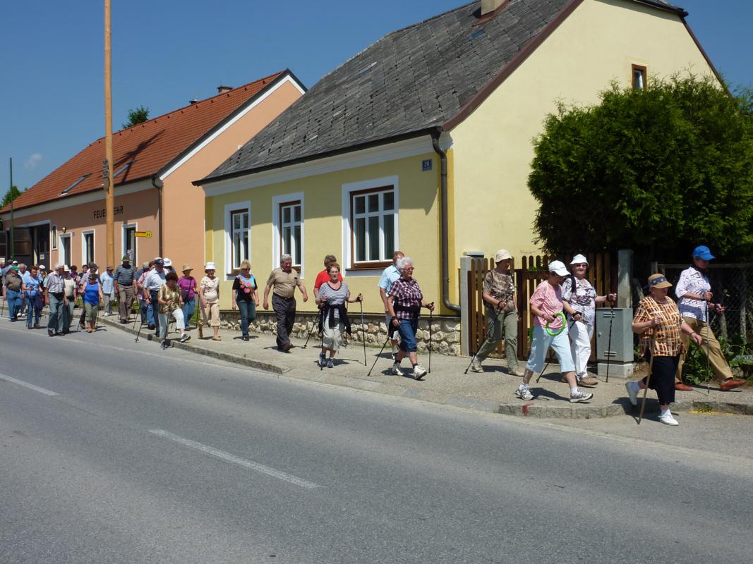 Wanderung Kleinebersdorf 20110519 023.JPG