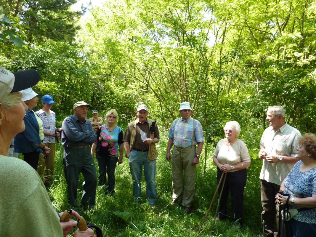 Wanderung Kleinebersdorf 20110519 028.JPG