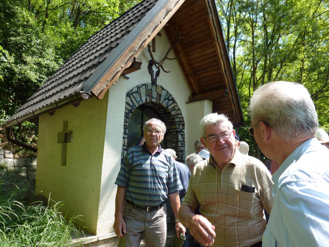 Wanderung Kleinebersdorf 20110519 036.JPG