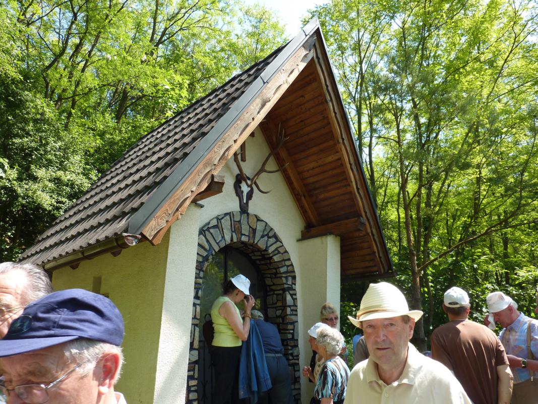 Wanderung Kleinebersdorf 20110519 037.JPG