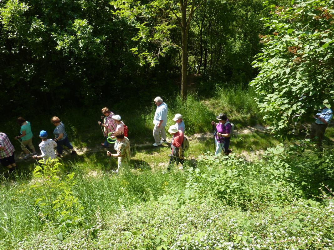 Wanderung Kleinebersdorf 20110519 038.JPG