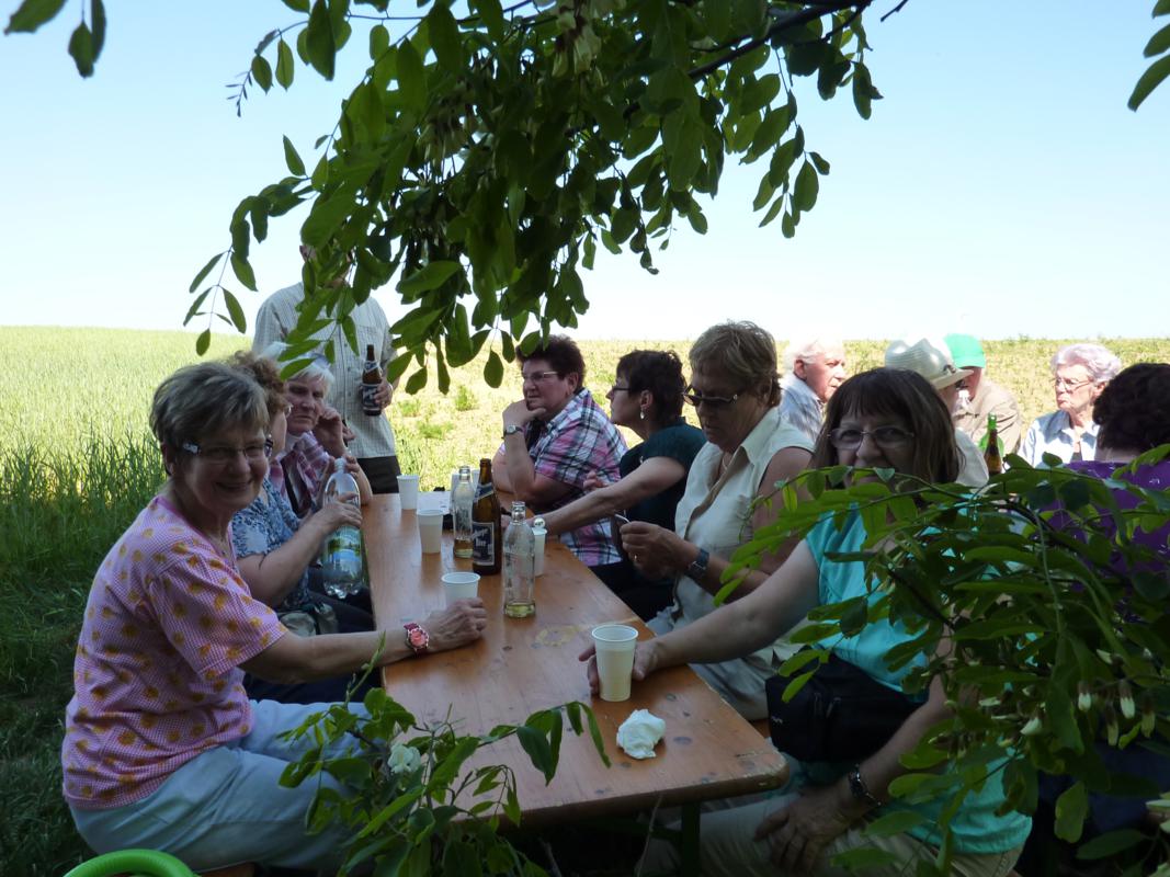 Wanderung Kleinebersdorf 20110519 056.JPG