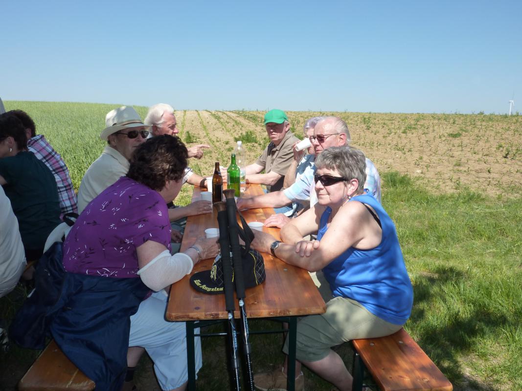 Wanderung Kleinebersdorf 20110519 057.JPG