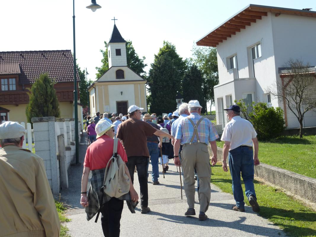 Wanderung Kleinebersdorf 20110519 062.JPG