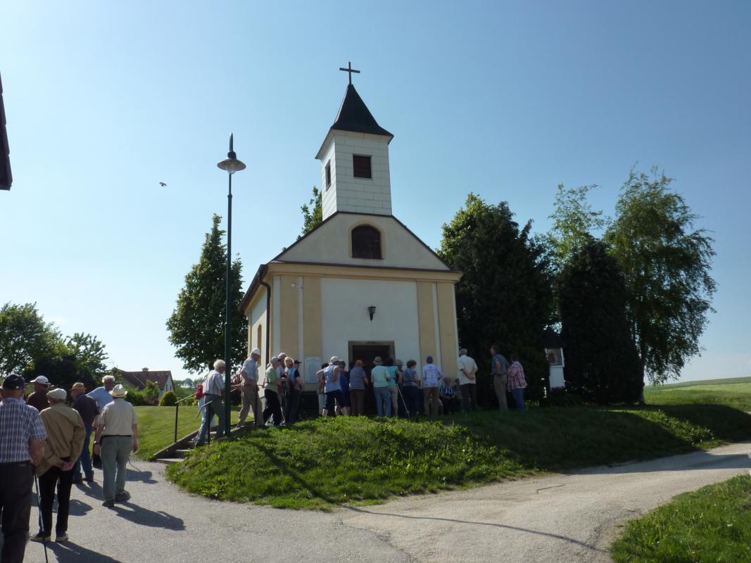 Wanderung Kleinebersdorf 20110519 063.JPG