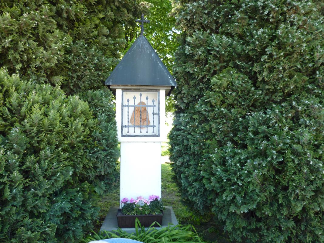 Wanderung Kleinebersdorf 20110519 067.JPG