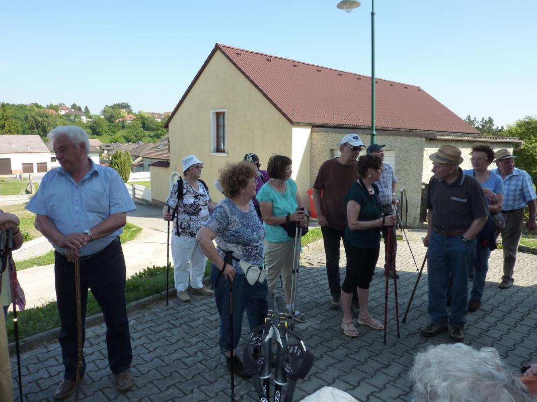 Wanderung Kleinebersdorf 20110519 069.JPG