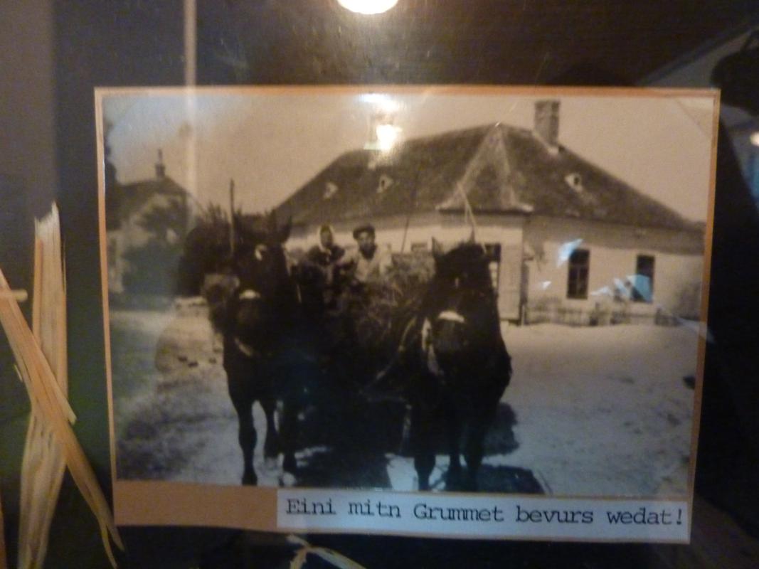 Wanderung Kleinebersdorf 20110519 085.JPG