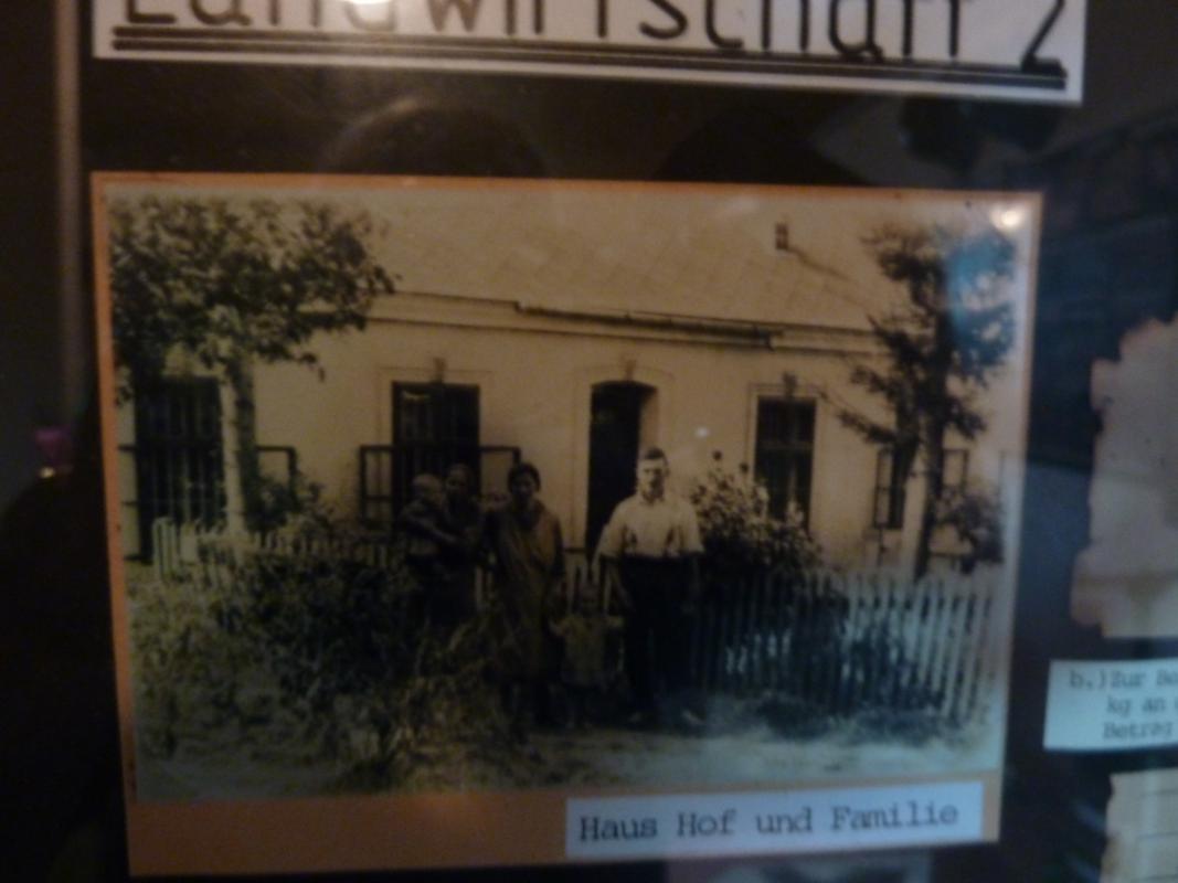 Wanderung Kleinebersdorf 20110519 086.JPG