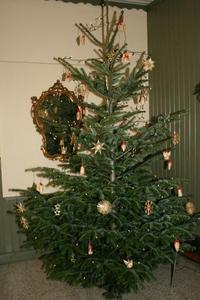 20091216 Advent 2007_002.jpg