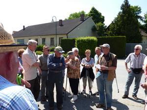 Wanderung Kleinebersdorf 20110519 018.JPG