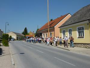 Wanderung Kleinebersdorf 20110519 020.JPG