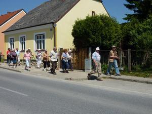 Wanderung Kleinebersdorf 20110519 022.JPG