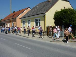 Wanderung Kleinebersdorf 20110519 023.JPG
