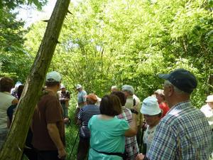 Wanderung Kleinebersdorf 20110519 027.JPG