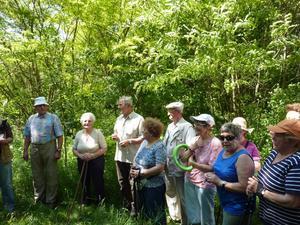 Wanderung Kleinebersdorf 20110519 029.JPG
