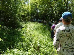 Wanderung Kleinebersdorf 20110519 033.JPG