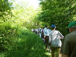 Wanderung Kleinebersdorf 20110519 034.JPG