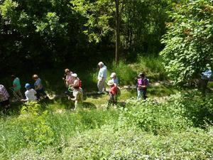 Wanderung Kleinebersdorf 20110519 038.JPG