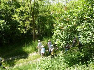 Wanderung Kleinebersdorf 20110519 039.JPG