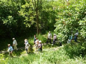 Wanderung Kleinebersdorf 20110519 041.JPG