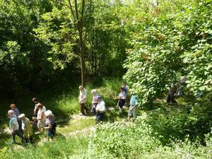 Wanderung Kleinebersdorf 20110519 042.JPG