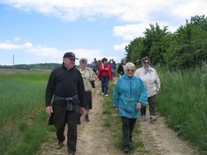 Wanderung Weinsteig 2007 - 18. Mai 2007