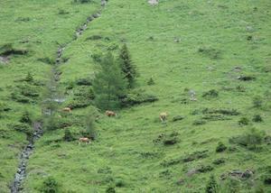 20130704 Osttirol Tag 4 30